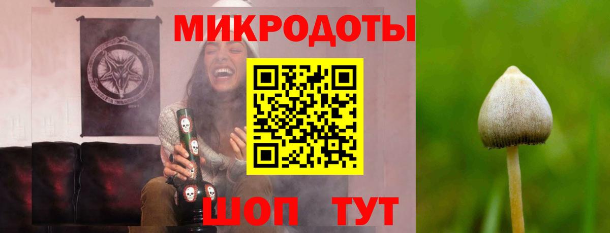 Галлюциногенные грибы мицелий  Вход с VPN  Псилоцибиновые грибы Psilocybe  Похвистнево 